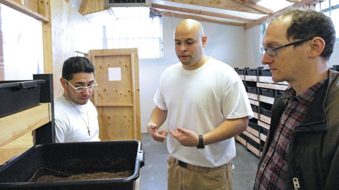 Author Juan Carlos Hernandez (center) explains use of black soldier flies to manage food waste. Also pictured: Rudy Madrigill of the Worm Farm (left) and Justin Maltry, Tilth Alliance (right). Giving tours is a component of the public speaking requirements in the Vermiculture and Composting Specialist certification.