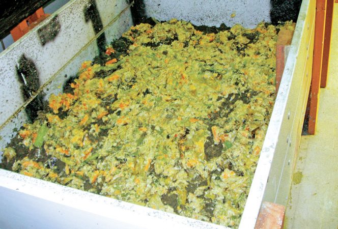 Fermented food scraps are added to the vermicomposting bin at the Worm Farm.