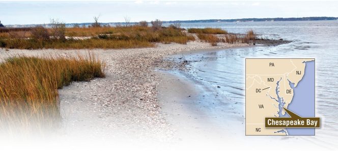 Chesapeake Bay Nutrient Credits