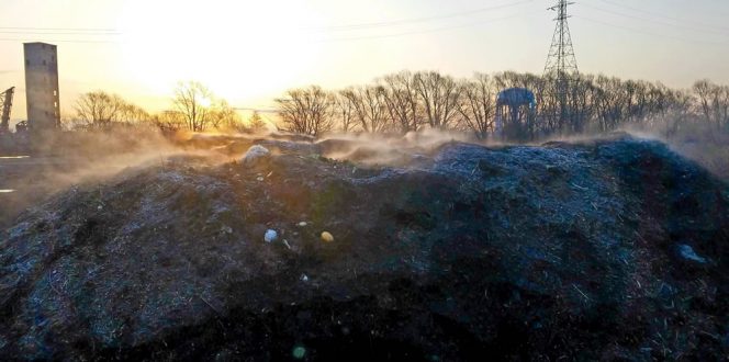 Buffalo River Compost