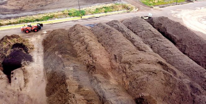 Rexius in Eugene, Oregon receives cannabis waste that “is like any other green waste,” says Jack Hoeck, vice-president of environmental services.