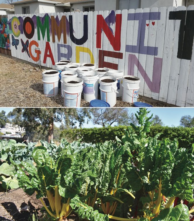Oceanview Growing Grounds Community Garden also serves as a community-scale composting hub.