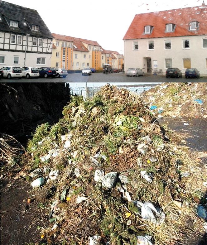 In the town of Braunschweig (top), source separated biowaste placed in certified compostable bags, along with loose garden waste (above), were collected from households for the field trials.