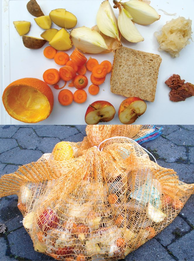 Researchers prepared standard reference samples to evaluate the possible influence of the collected biowaste composition on the degradation rate of the compostable plastic bags. The food scraps (top) were coarsely size reduced then placed with 3 compostable bags inside a net (bottom).