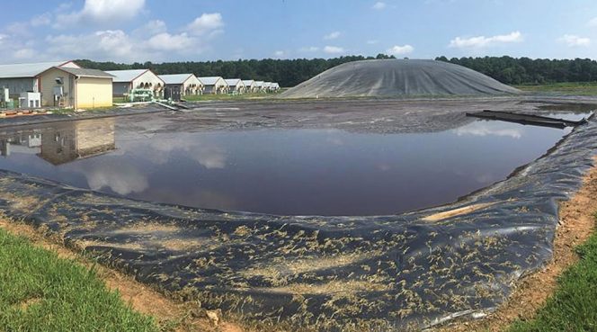 Duke University and Duke Energy, and later Google, developed and funded an AD system at Loyd Ray Farms, a swine finishing operation. The facility began operating in 2011.