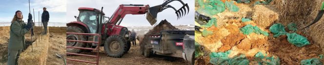 Composting was done in two 40-foot by 10-foot straw bale bays reinforced with rebar. The bags were punctured and layered, then covered with rotting silage and straw.