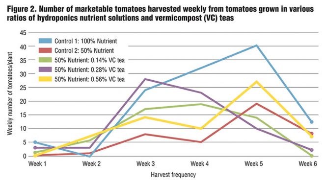 Figure 2. Number of marketable tomatoes harvested weekly from tomatoes grown in various ratios of hydroponics nutrient solutions and vermicompost (VC) teas