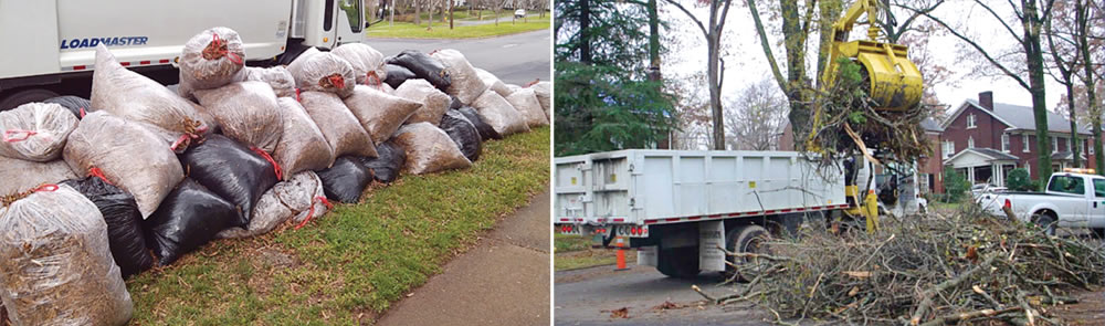 Use clear bags for leaves or grass clippings