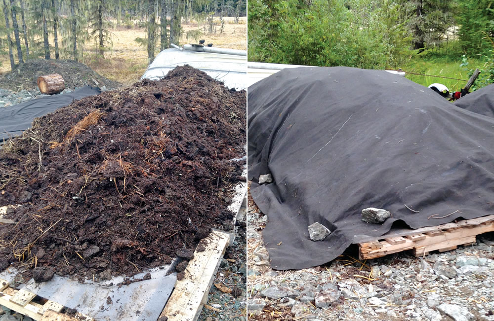 After 2 to 3 months of composting in the bins, material is moved for curing into a windrow that is covered with breathable fabric.