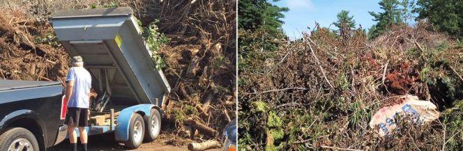 Anyone demonstrating proof of residency in one of the 12 towns can drop off brush and tree trimmings free of charge at solid waste transfer stations.