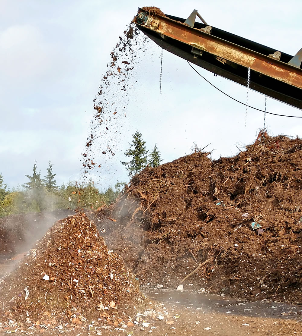 Compostable food service packaging was mixed with other feedstocks, e.g., yard trimmings, and run through a grinder.