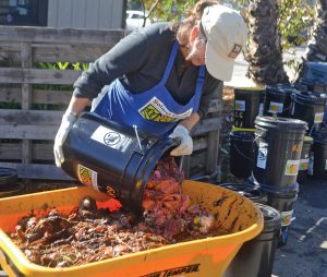 Solana Center For Environmental Innovation’s food waste drop-off