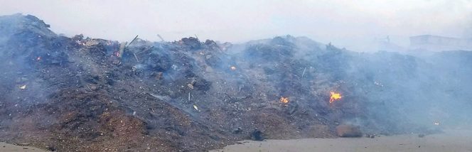 At 3:44 am on Dec. 5, 2017, a wildfire was reported in the Angeles National Forest. Shortly after, the Los Angeles Fire Department notified the Lopez Canyon Environmental Center (LCEC) that the fire was approaching the composting facility.