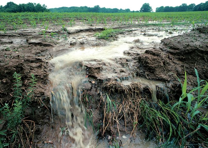 Agriculture, Compost And Water Quality Intersections