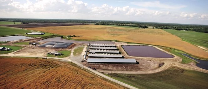 Circle K Farm, a contract hog grower for Smithfield Foods, is part of the Optima KV renewable natural gas pilot project in Kenansville, North Carolina.