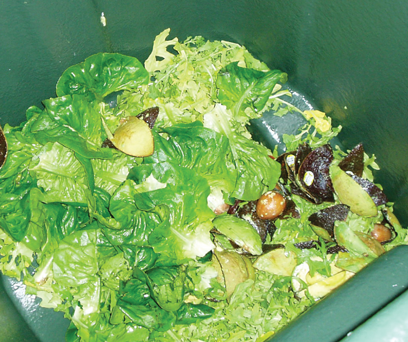 Source separated kitchen food waste and material from the employee restaurant are composted at the City of San Diego’s Miramar Greenery.