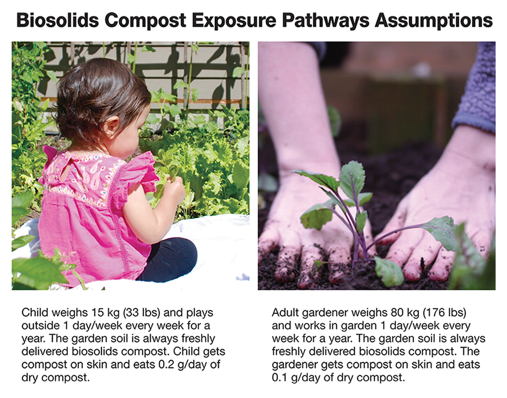 Biosolids Compost Exposure Pathways Assumptions