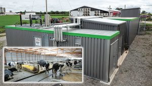 Allen Farms installed an anaerobic digester consisting of two fermentation vessels. Manure, used bed pack and crop residues from the 130-cow dairy operation are processed.