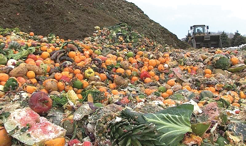 The Solid Waste Agency of Lake County is promoting food scraps collection to help boost recycling. Midwest Organics Recycling in Wauconda Township is where many of the scraps are taken.
