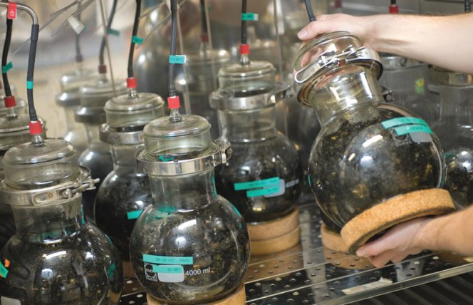 Test for biodegradation of biodegradable polymer molecules being conducted at the OWS, Inc. laboratory.