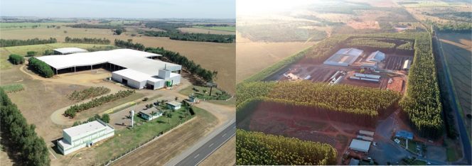 Valoriza Fertilizantes Ltda., in Uberlândia, State of Minas Gerais (left) and Organosolvi Soluções Orgânicas S.A., in Coroados, State of São Paulo (right).