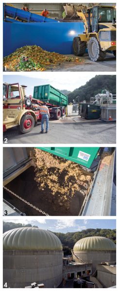 Source separated food waste collected by Marin Sanitary Service is preprocessed on a sorting line and in a vertical grinder (1), then hauled to the Central Marin Sanitation Agency’s WRRF (2) where it is unloaded into a receiving tank (3). Anaerobic digesters at CMSA (4).