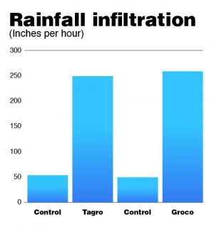 Rainfall infiltration