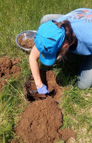 Sampling For PFAS