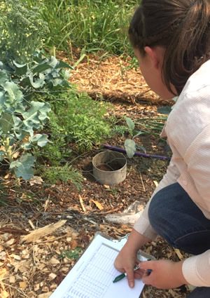 Measuring water infiltration, absorption