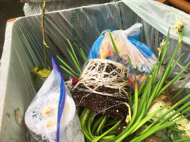 "Saving the planet" by putting questionable items into the organics bin rather than the trash leads to contamination.