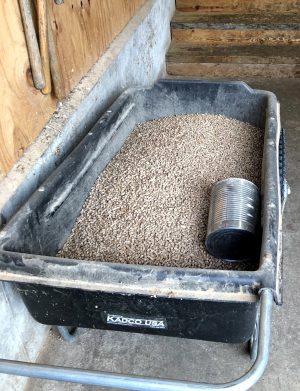 Wood pellets for mixing with food scraps