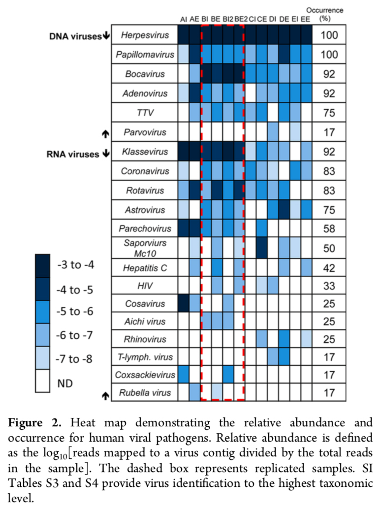 Heat map demonstrating relative abundance and occurrence for human viral pathogens.