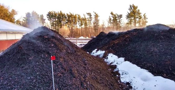 Aerated static piles at Community Compost’s facility in Kerhonkson, NY.