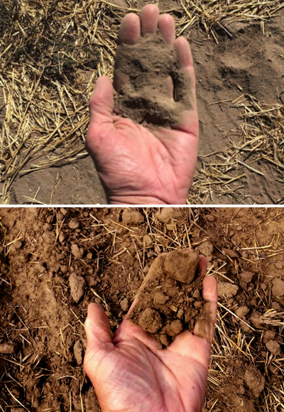 Visual difference between soils lacking organics material (top) and soil featuring organic material (bottom).