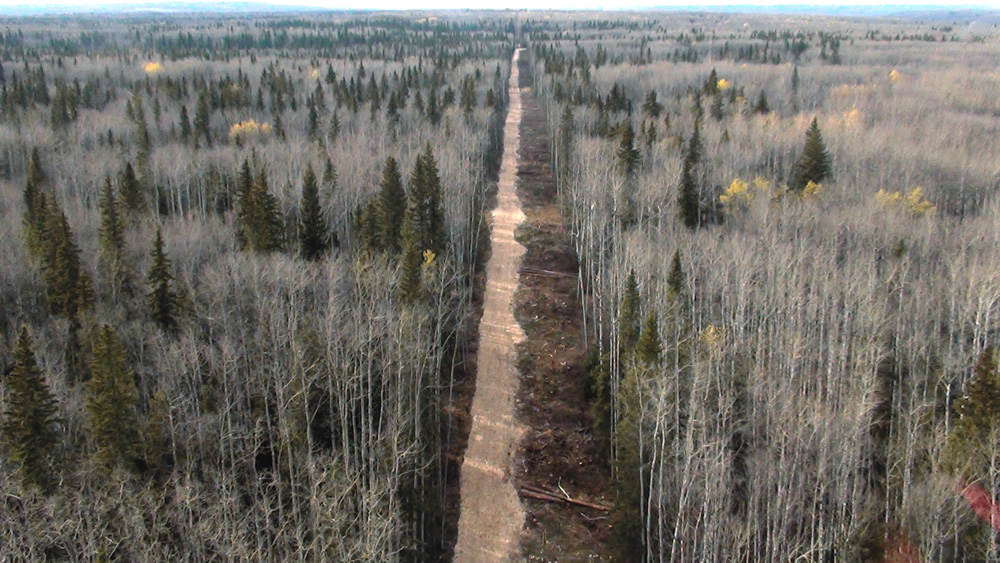 Triple G Construction in Alberta, Canada, utilizes ground wood chips to stabilize temporary roads built for oil and gas exploration.