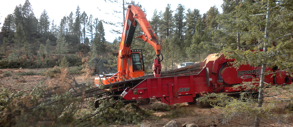 Marks Lumber in Clancy, Montana, utilized a Rotochopper B66 horizontal grinder to process beetle-killed pine trees into chips for boiler fuel.