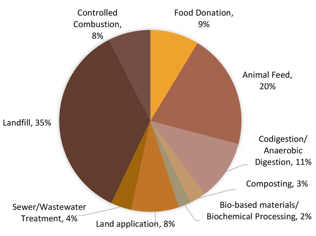 Figure 3. Percentage distribution of excess food and food waste management (2016)