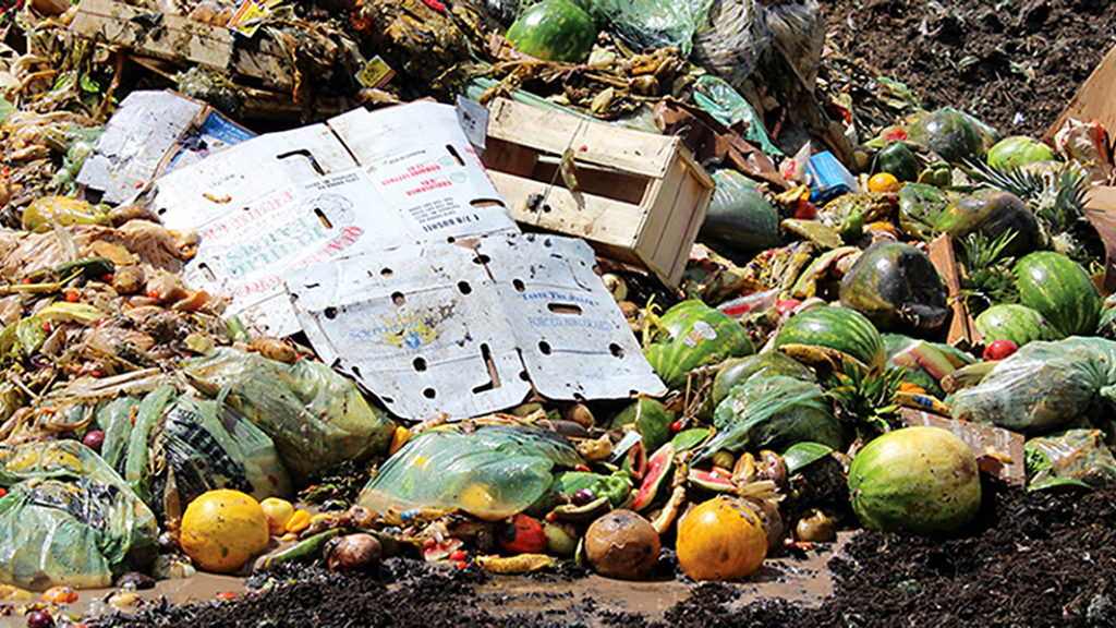 EPA’s New Wasted Food Measurement Methodology BioCycle