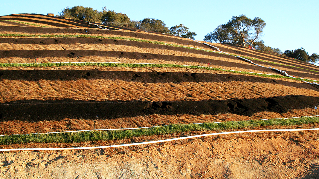 Pickup Guidelines  Compost Connection