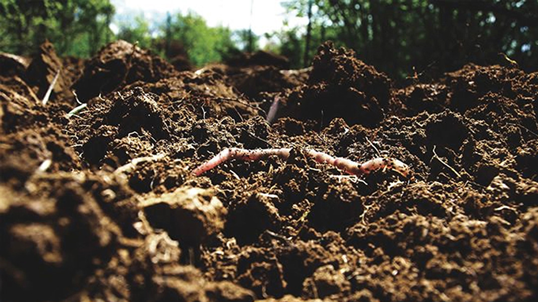 The Dirt on Crop Insurance