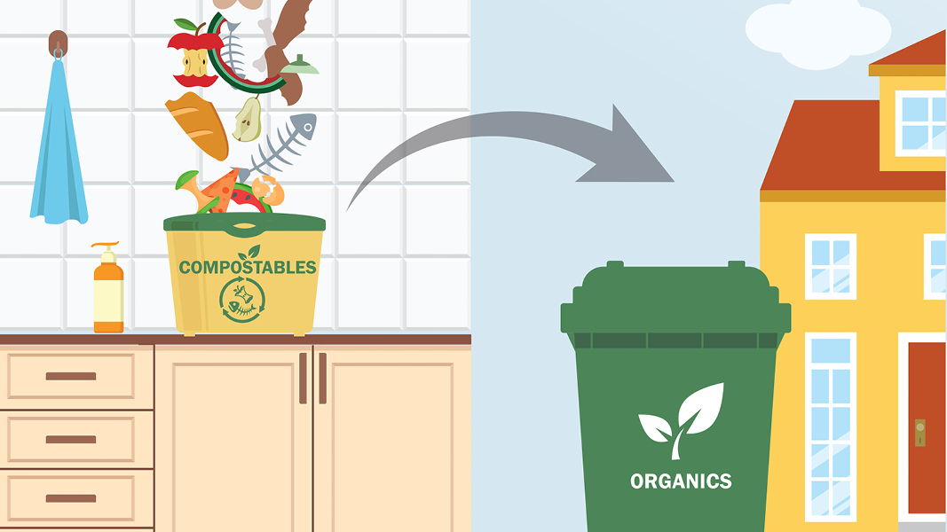 Organics & Food Waste at Home