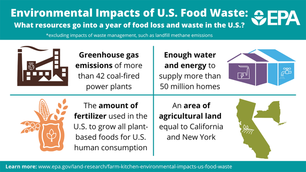 Why We Can’t Afford To Waste Food